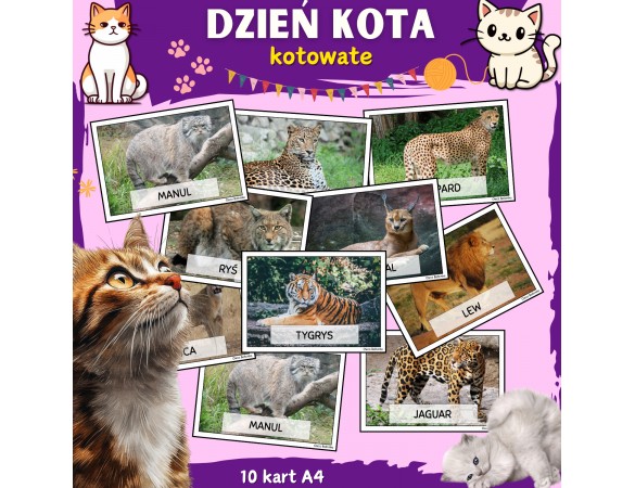 Karty demonstracyjne- Dzień Kota