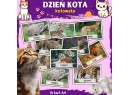 Karty demonstracyjne- Dzień Kota
