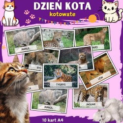 Karty demonstracyjne- Dzień...