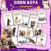 Ciekawostki o kotach- Dzień kota