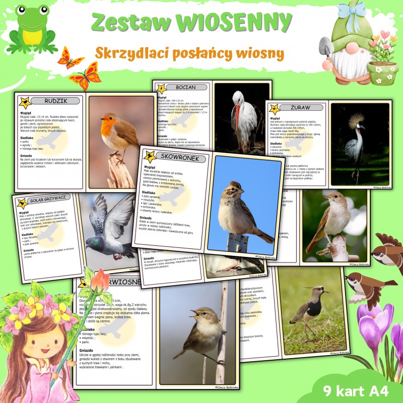 Skrzydlaci posłańcy wiosny - Wiosna