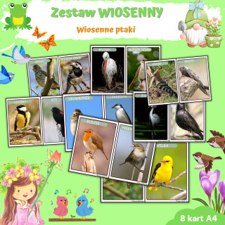 Wiosenne ptaki - Wiosna