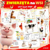 Zwierzęta na wsi Karty Pracy- Owca Balbinka