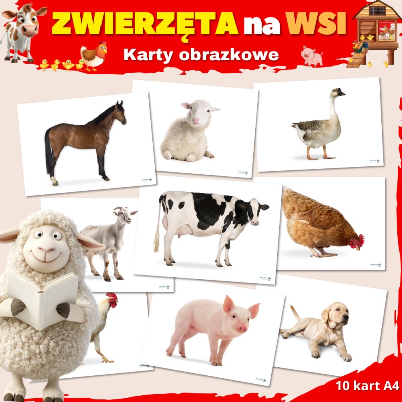 Zwierzęta na wsi Karty Pracy- Owca Balbinka
