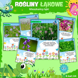 MIESZKAŃCY ŁĄKI - rośliny łąkowe