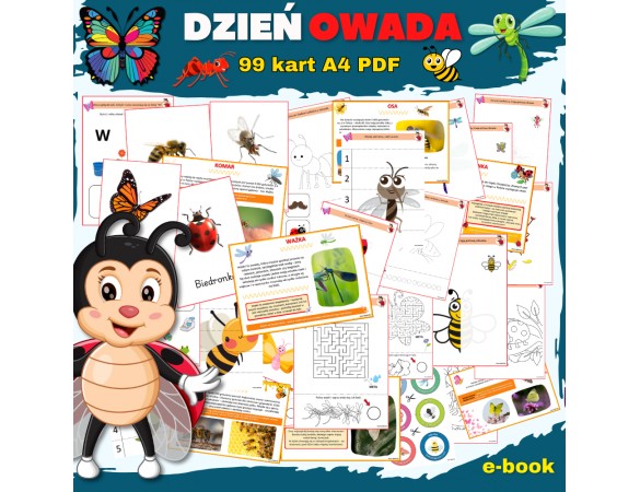 Zestaw DZIEŃ OWADA
