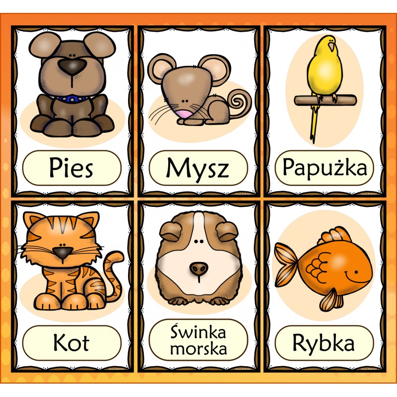 ZWIERZĘTA DOMOWE