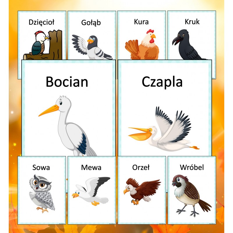 Dzień Zwierząt Karty Pracy – Owca Balbinka
