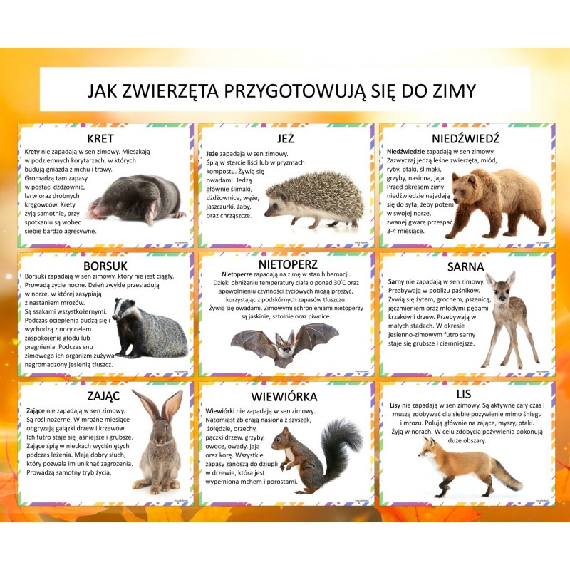 Dzień Zwierząt Karty Pracy – Owca Balbinka