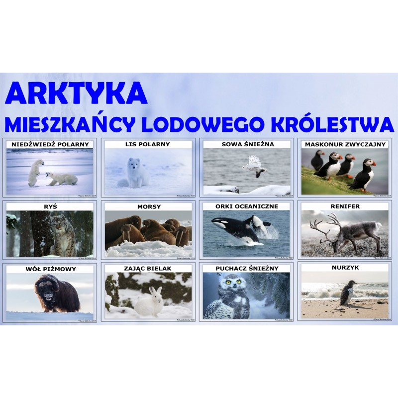Zestaw ZIMOWY