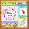 Etapy Życia Karty Pracy- Owca Balbinka