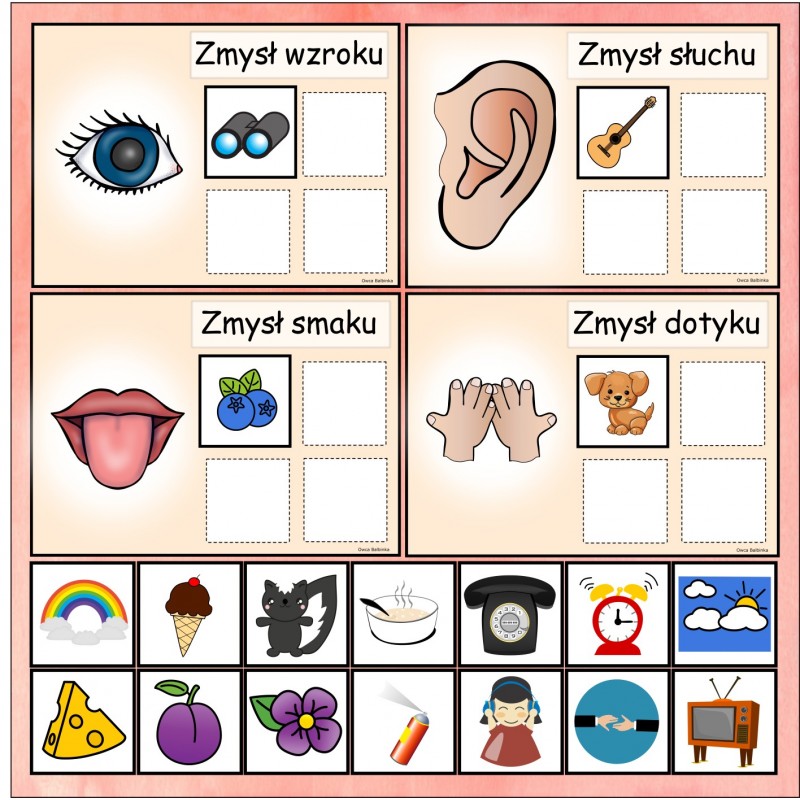 Ciało, zmysły Karty Pracy- Owca Balbinka
