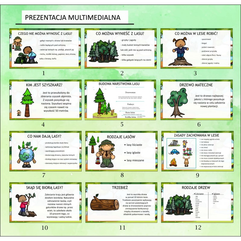Dzień Lasu Karty Pracy- Owca Balbinka