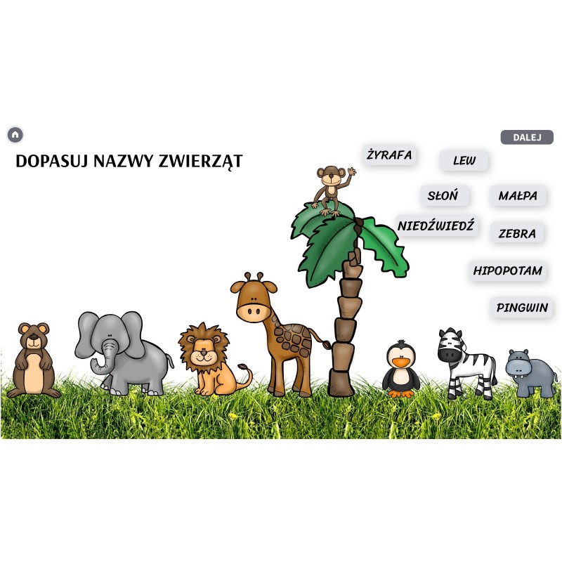 Zwierzęta w ZOO Karty Pracy- Owca Balbinka