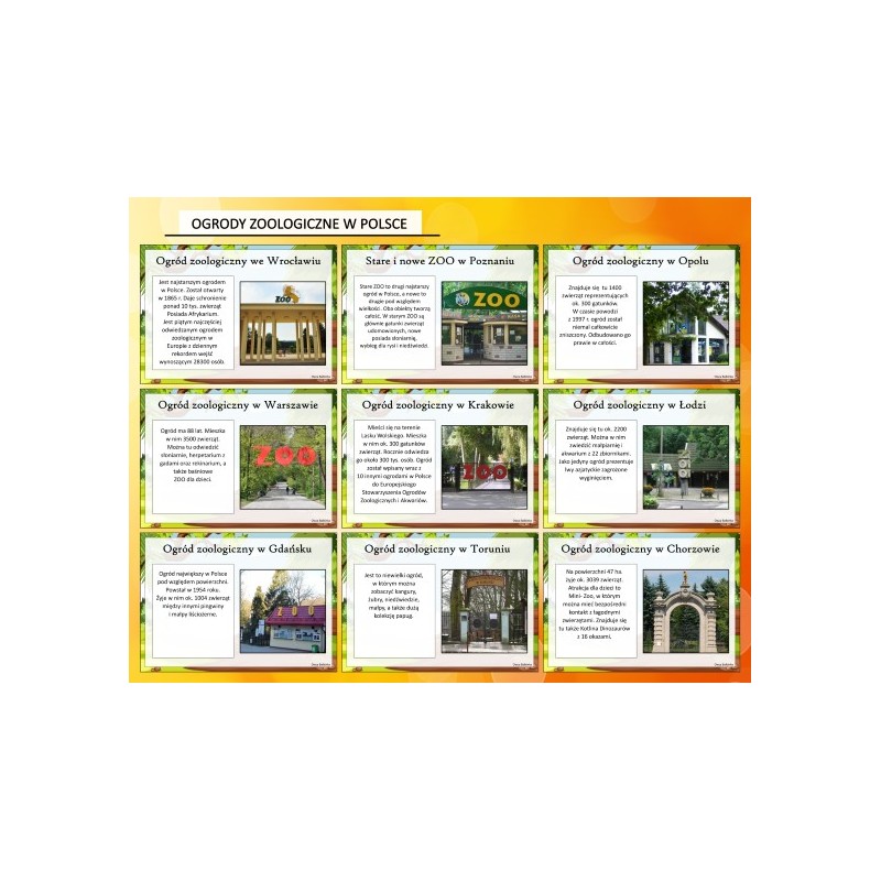 Zwierzęta w ZOO Karty Pracy- Owca Balbinka