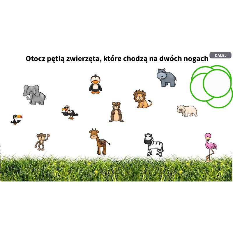 Zwierzęta w ZOO Karty Pracy- Owca Balbinka