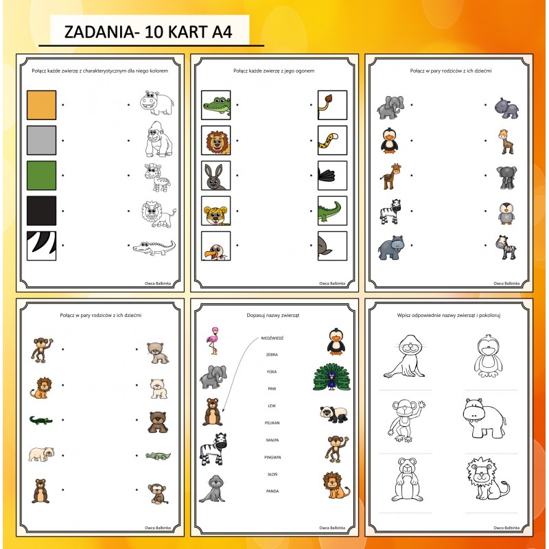 Zwierzęta w ZOO Karty Pracy- Owca Balbinka