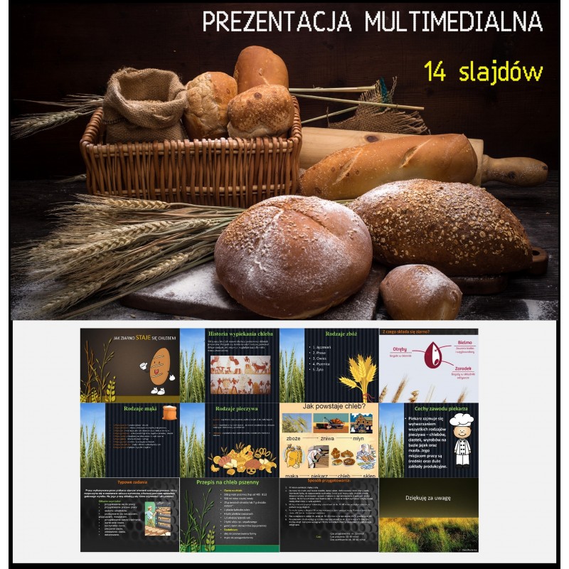 Piekarze i Cukiernicy Karty Pracy- Owca Balbinka