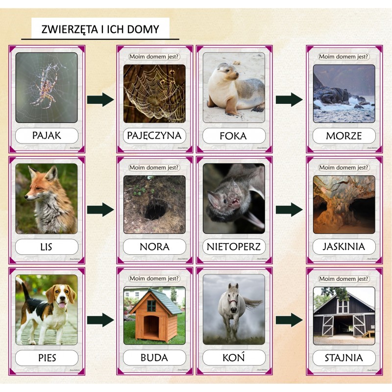 Domy i Domki Karty Pracy – Owca Balbinka