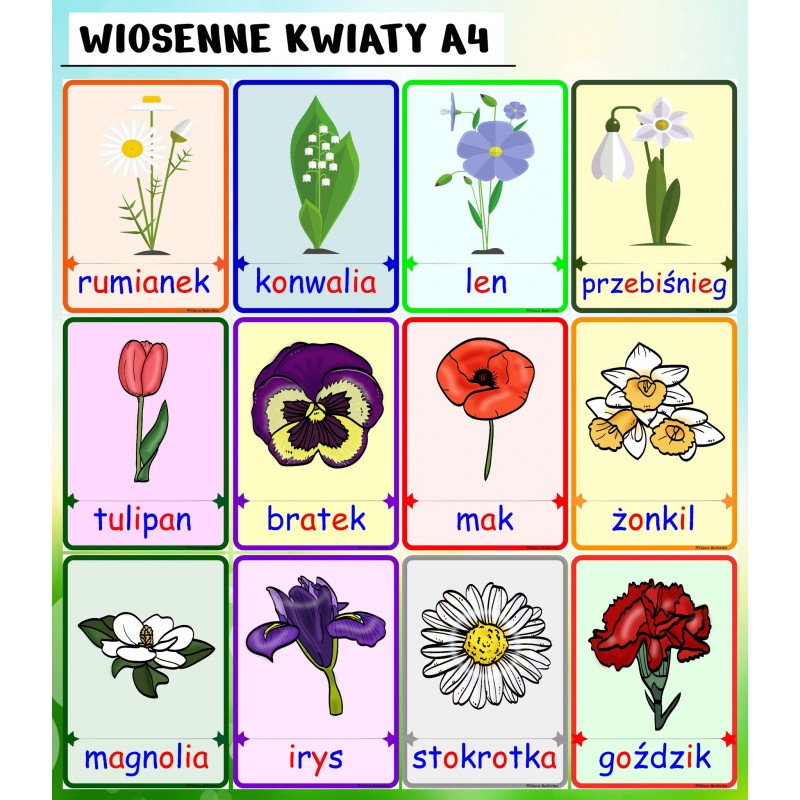 Pakiet WIOSENNY