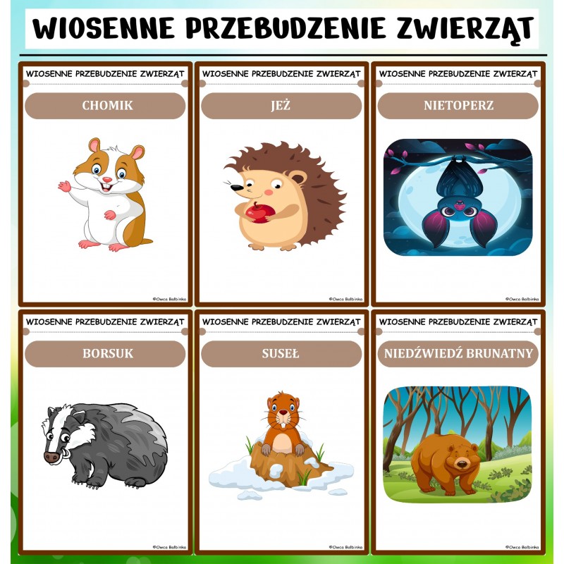 Pakiet WIOSENNY