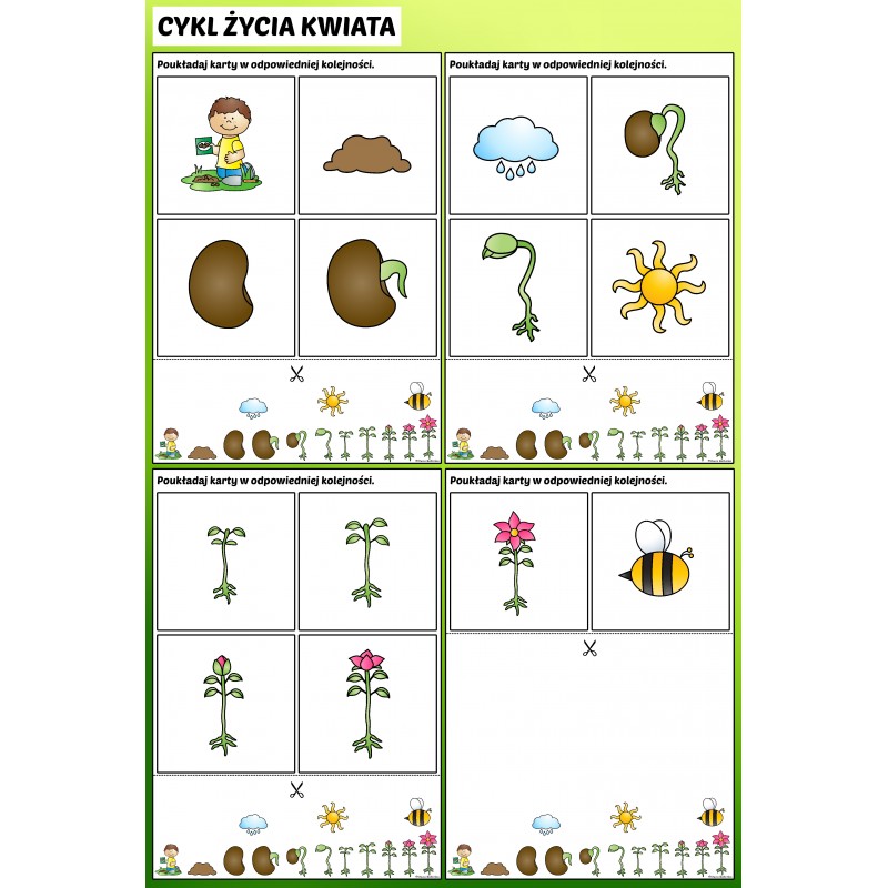 Wiosna W Ogrodzie Karty Pracy – Owca Balbinka
