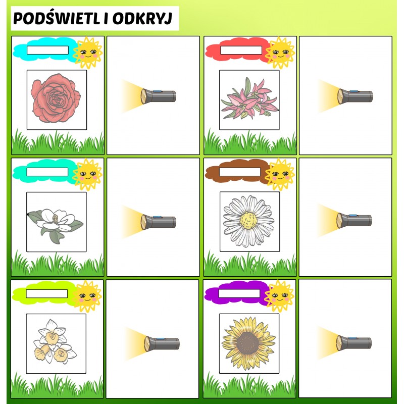 Wiosna W Ogrodzie Karty Pracy – Owca Balbinka
