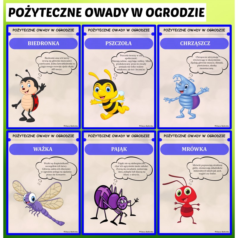 Wiosna W Ogrodzie Karty Pracy – Owca Balbinka