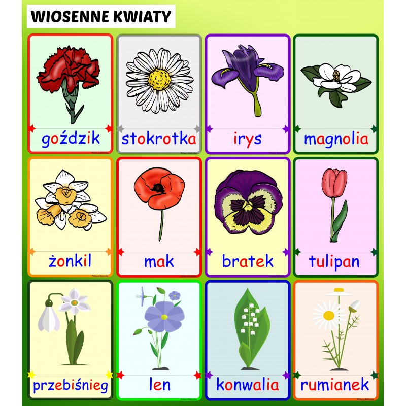 Wiosna W Ogrodzie Karty Pracy – Owca Balbinka