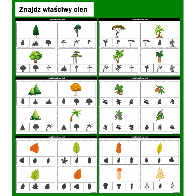 Dzień Drzewa Karty Pracy – Owca Balbinka