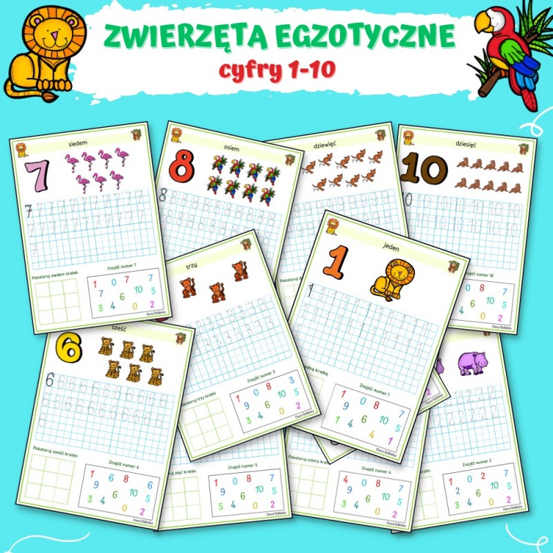 Zwierzęta Egzotyczne Karty Pracy- Owca Balbinka