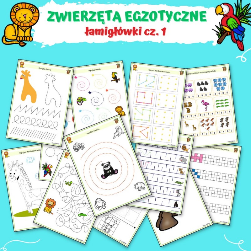 Zwierzęta Egzotyczne Karty Pracy- Owca Balbinka