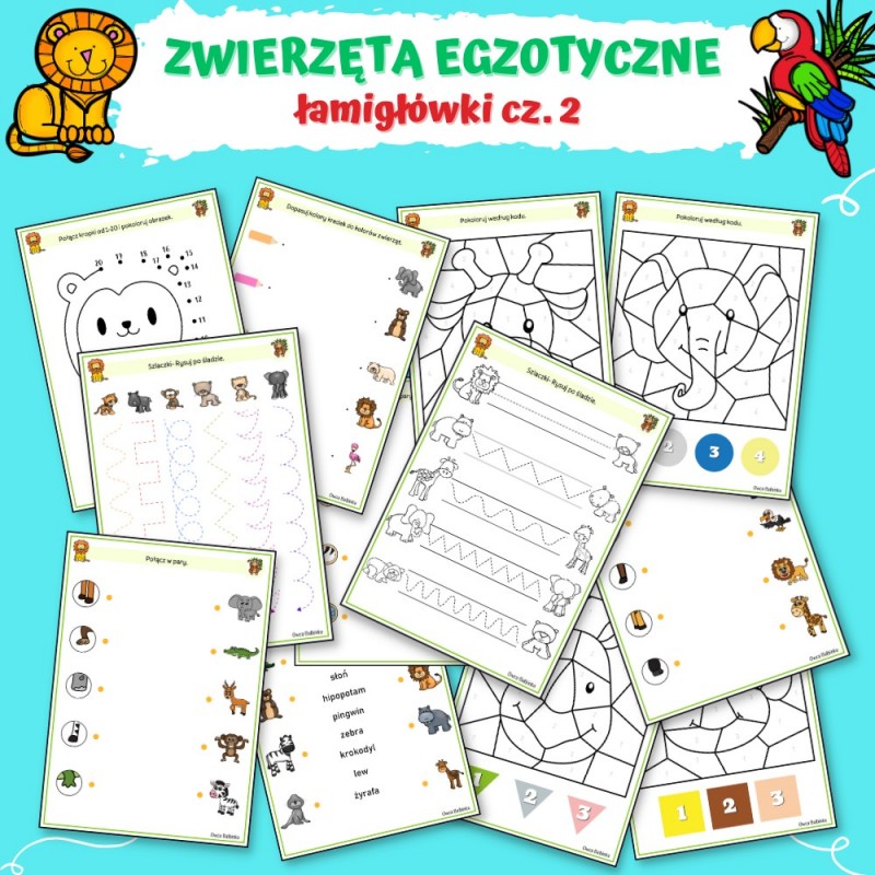 Zwierzęta Egzotyczne Karty Pracy- Owca Balbinka