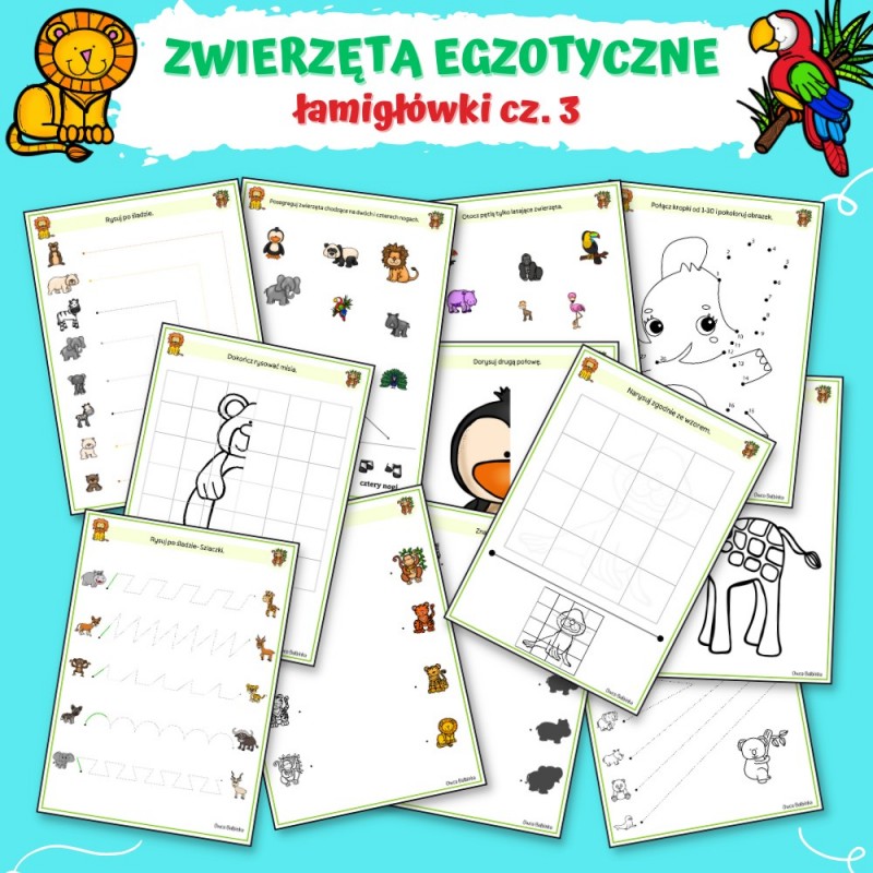 Zwierzęta Egzotyczne Karty Pracy- Owca Balbinka