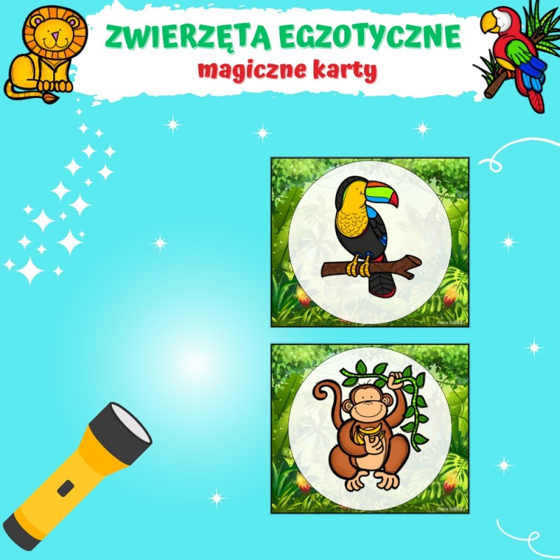 Zwierzęta Egzotyczne Karty Pracy- Owca Balbinka