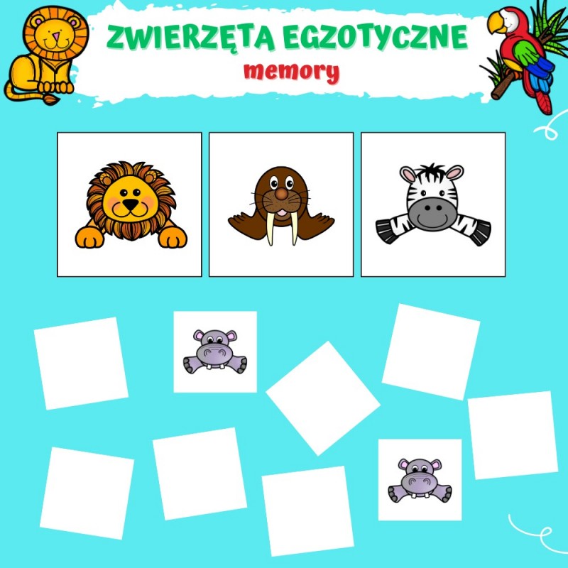 Zwierzęta Egzotyczne Karty Pracy- Owca Balbinka