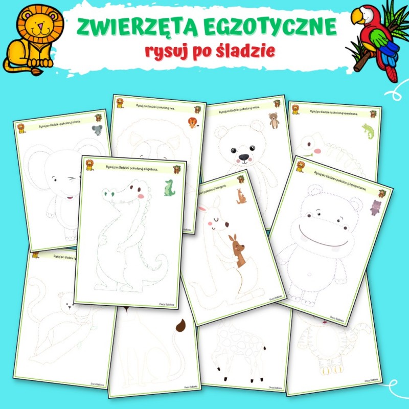 Zwierzęta Egzotyczne Karty Pracy- Owca Balbinka