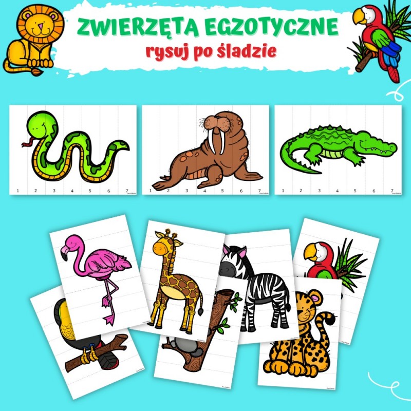 Zwierzęta Egzotyczne Karty Pracy- Owca Balbinka