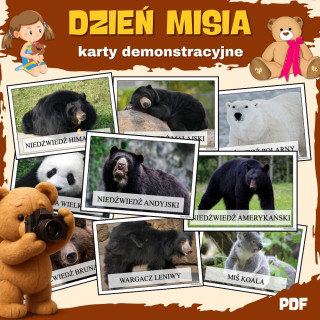 Dzień Misia- Karty demonstracyjne