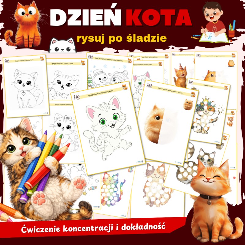 Pakiet DZIEŃ KOTA- NOWOŚĆ