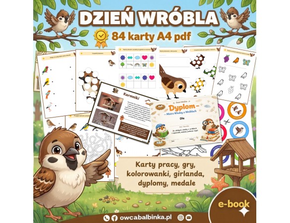 Zestaw DZIEŃ WRÓBLA