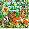 ZWIERZĘTA LEŚNE- kolorowanki